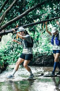 BIB: 
                            <button type="button" onclick="openModal(25411082)" class="btn btn-primary btn-sm float-right btn-popup" data-toggle="modal" data-target=".modal-high-quality">
                        <i class="fas fa-shopping-cart"></i> Add to Cart
                    </button>
                                            <button type="button" onclick="isThisMe(25411082, true)" class="btn btn-success btn-sm float-right btn-popup btn-isme hidden" data-toggle="tooltip" data-placement="bottom" title="นี่คือรูปของคุณใช่ไหม คลิกที่นี่เพื่อเอาเข้าอัลบั้ม">
                        <i class="fas fa-plus"></i> Add to album
                    </button>
                    <button type="button" onclick="isThisMe(25411082, false)" class="btn btn-warning btn-sm float-right btn-popup btn-isnotme hidden">
                        <i class="fas fa-ban"></i> Remove from album
                    </button>